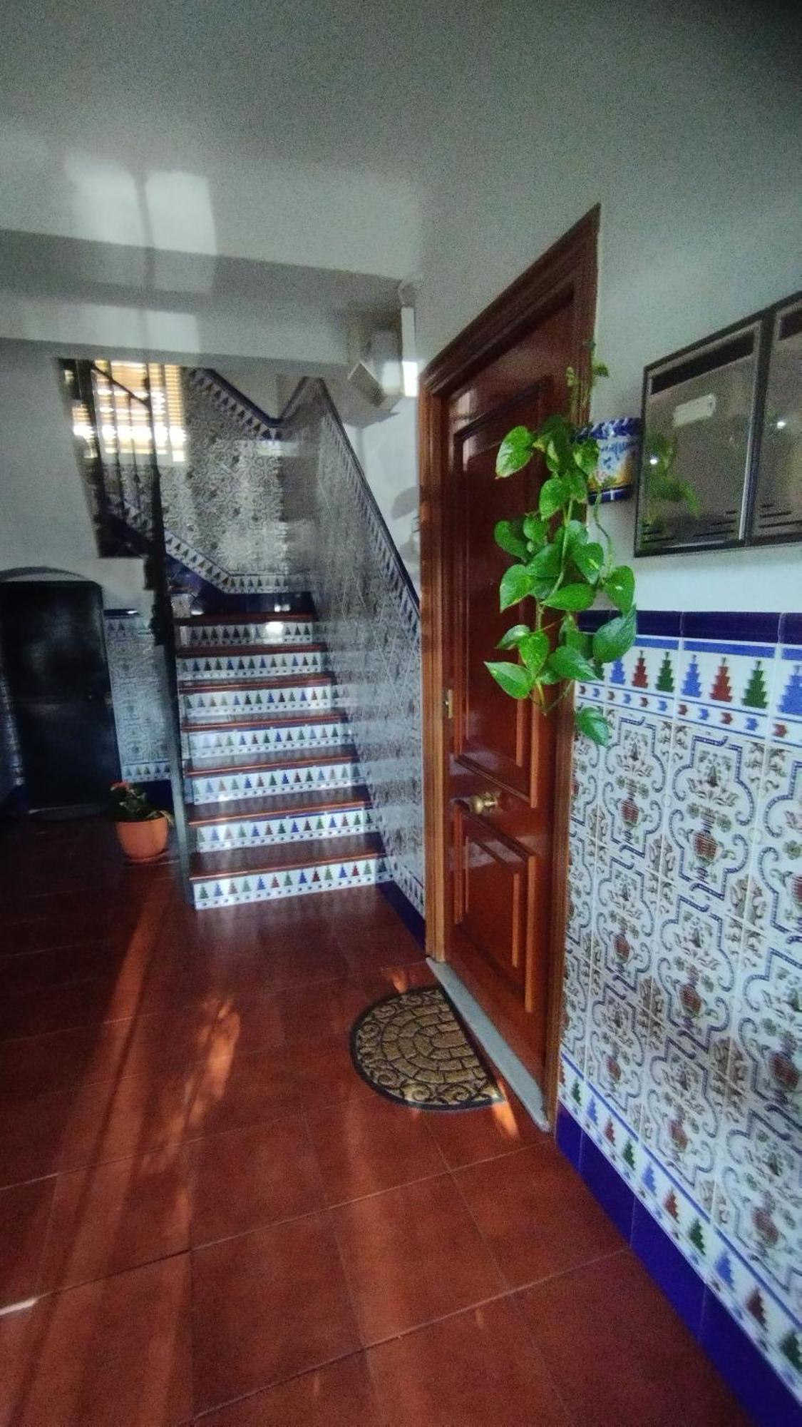 Apartamento 1 Dormitorio Y Salon Con Sofa Cama Bien Comunicado Con El Centro إشبيلية المظهر الخارجي الصورة